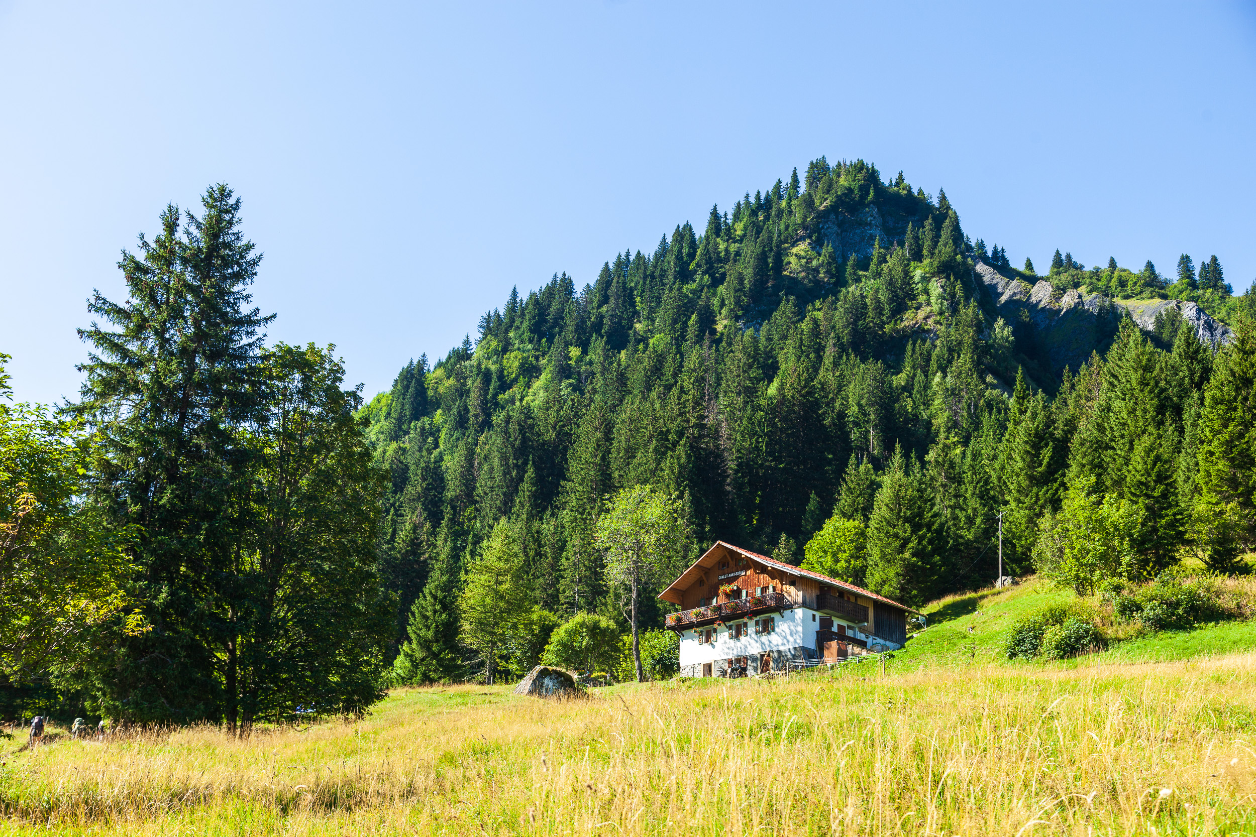 Шале Nant Borrant