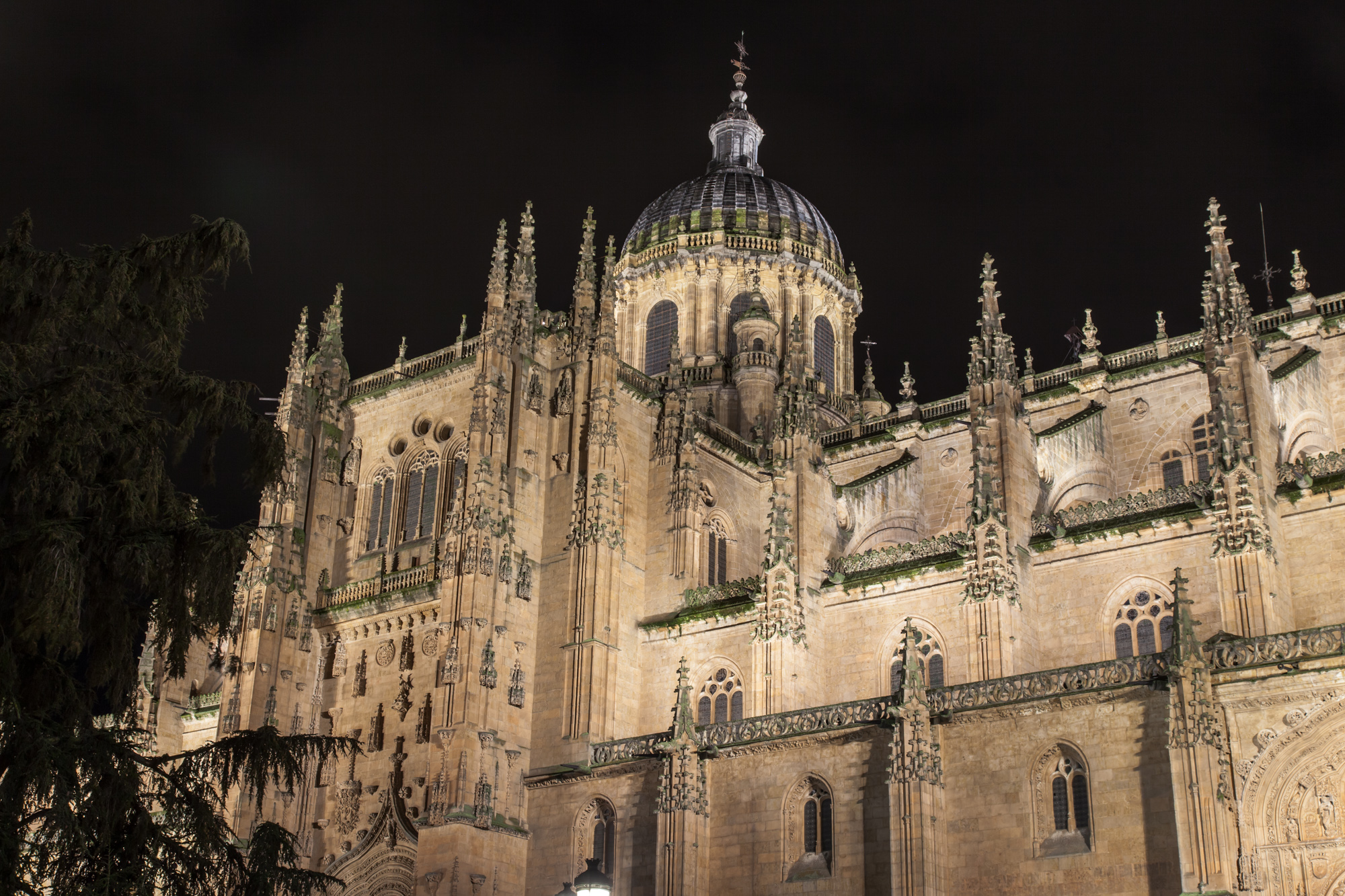 Кафедральный собор Саламанки