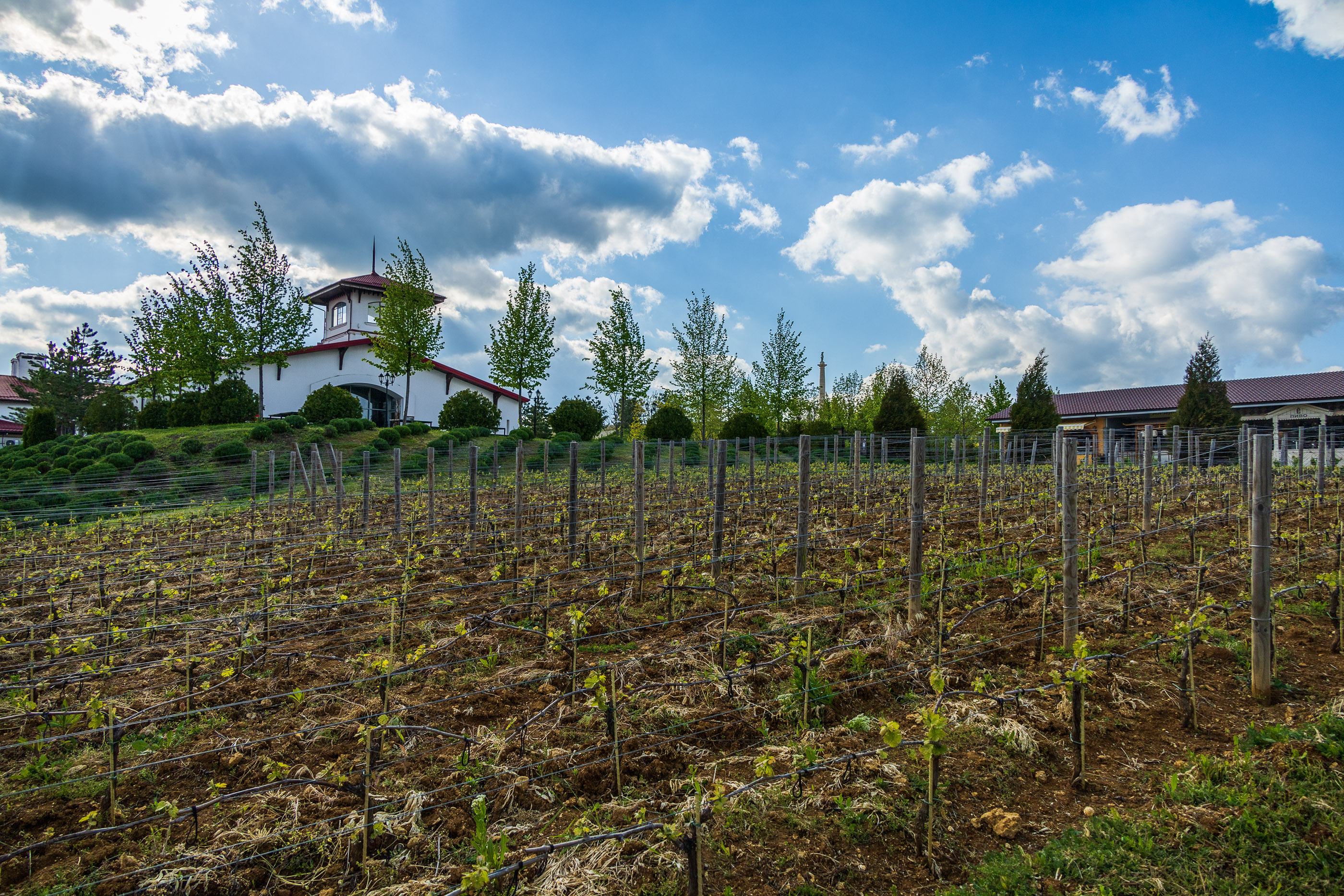 "Долина Левкадия"