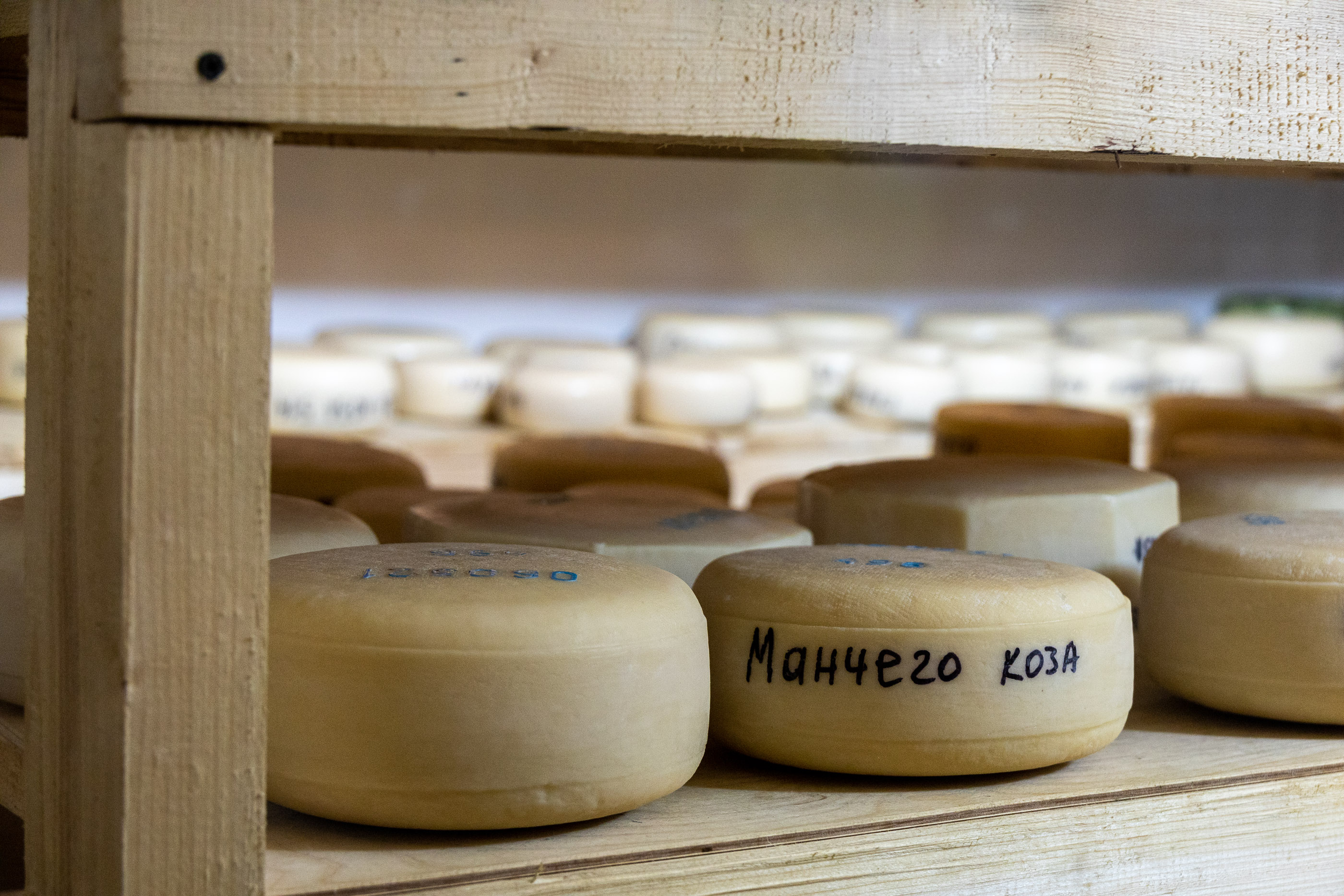 Сырное производство Коза-Хутора