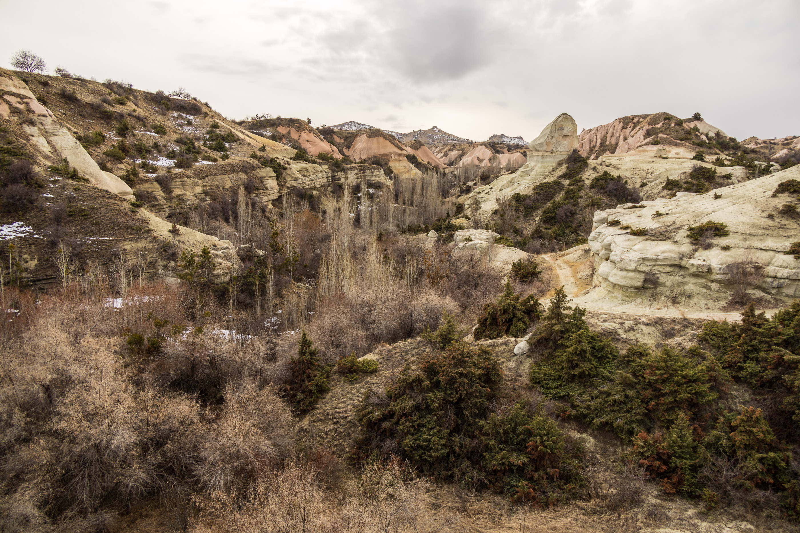 Долина Земи