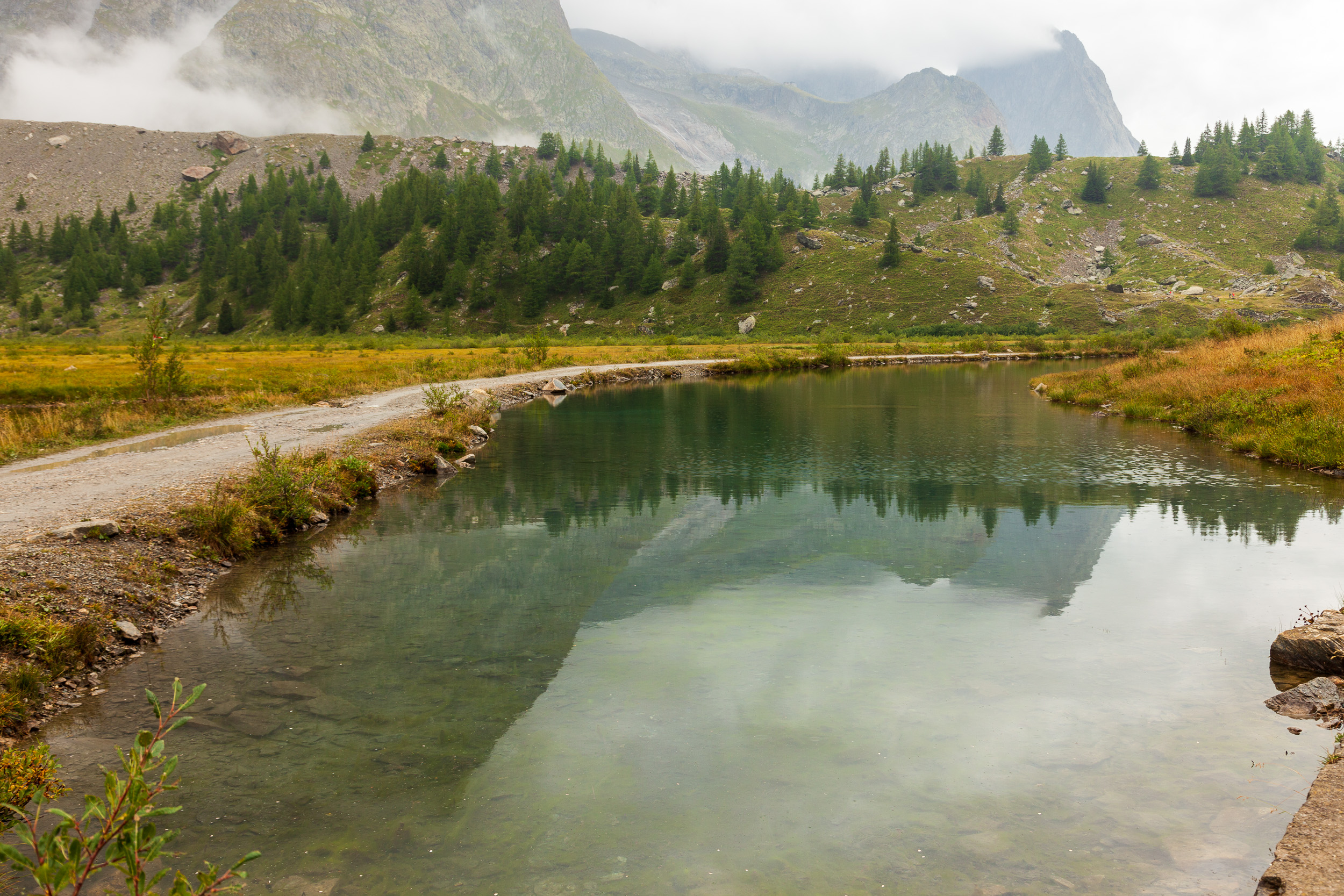 Болотистая низина, питаемая водами ледника Miage