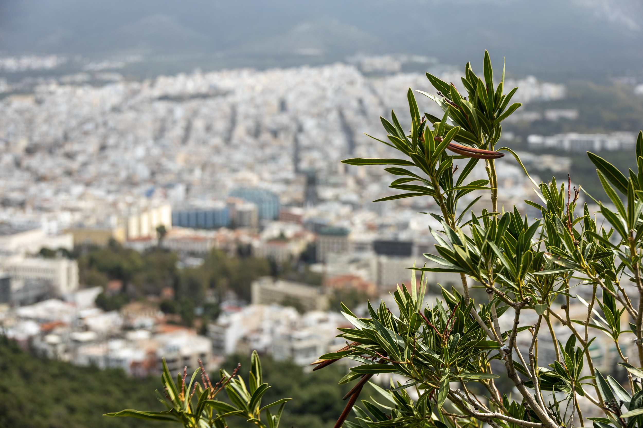 Панорама Афин с вершины холма Ликавитос