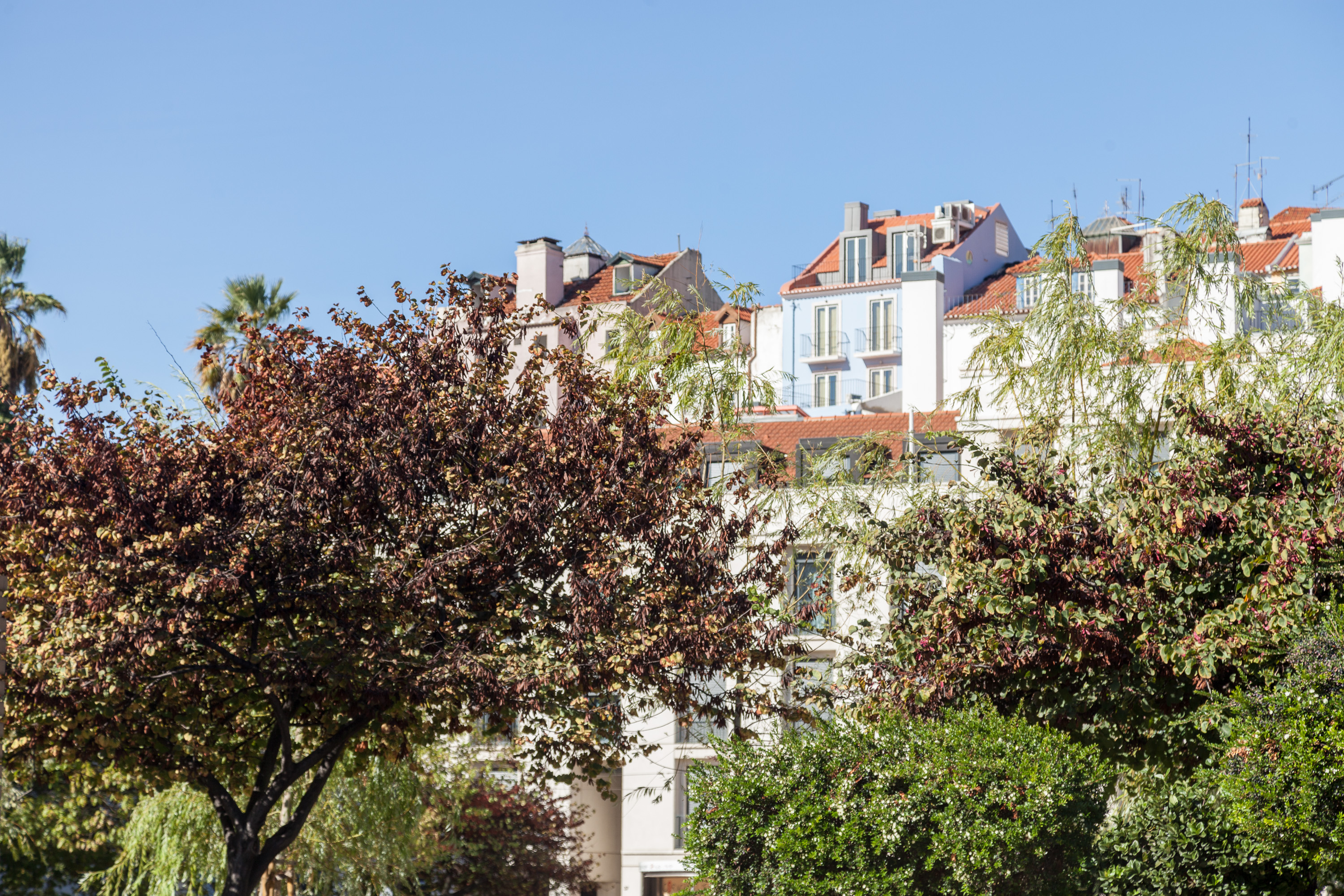 Домики Лиссабона