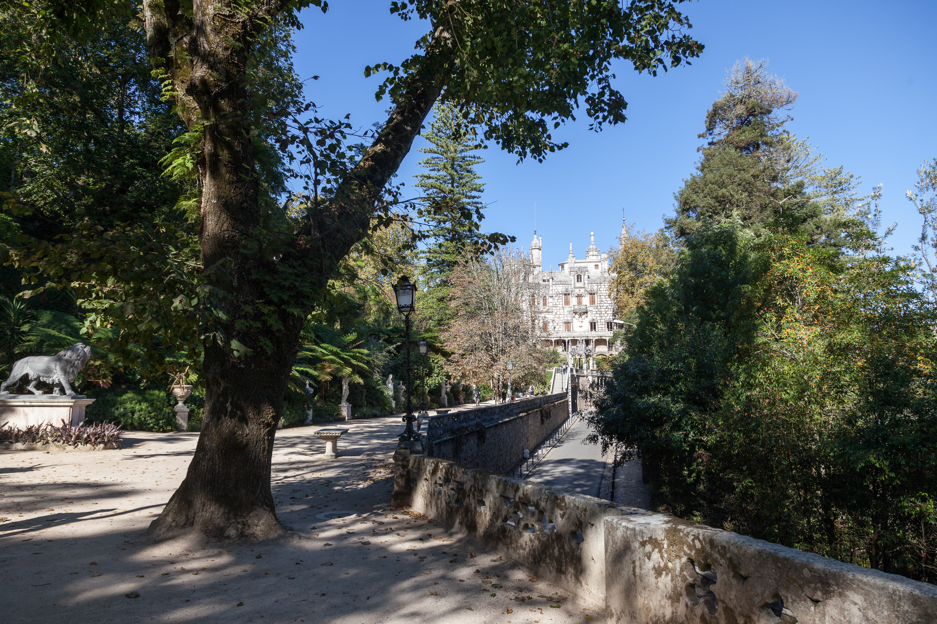 В парке Кинта да Регалейра