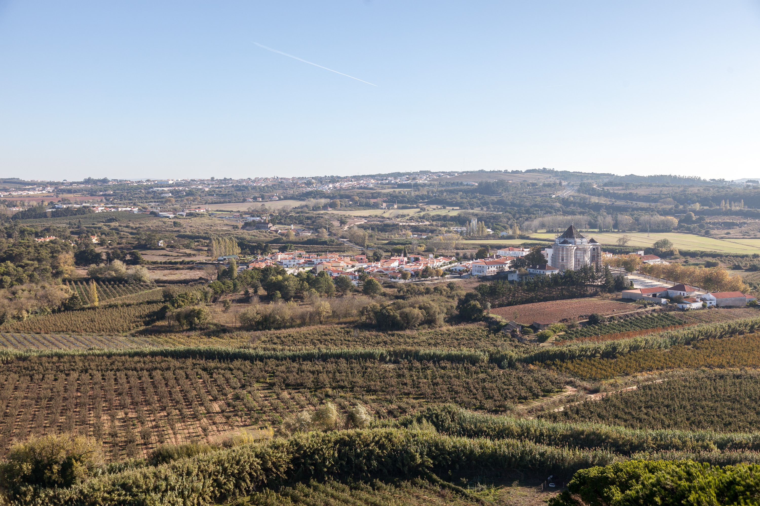 Поля вокруг О́бидуша