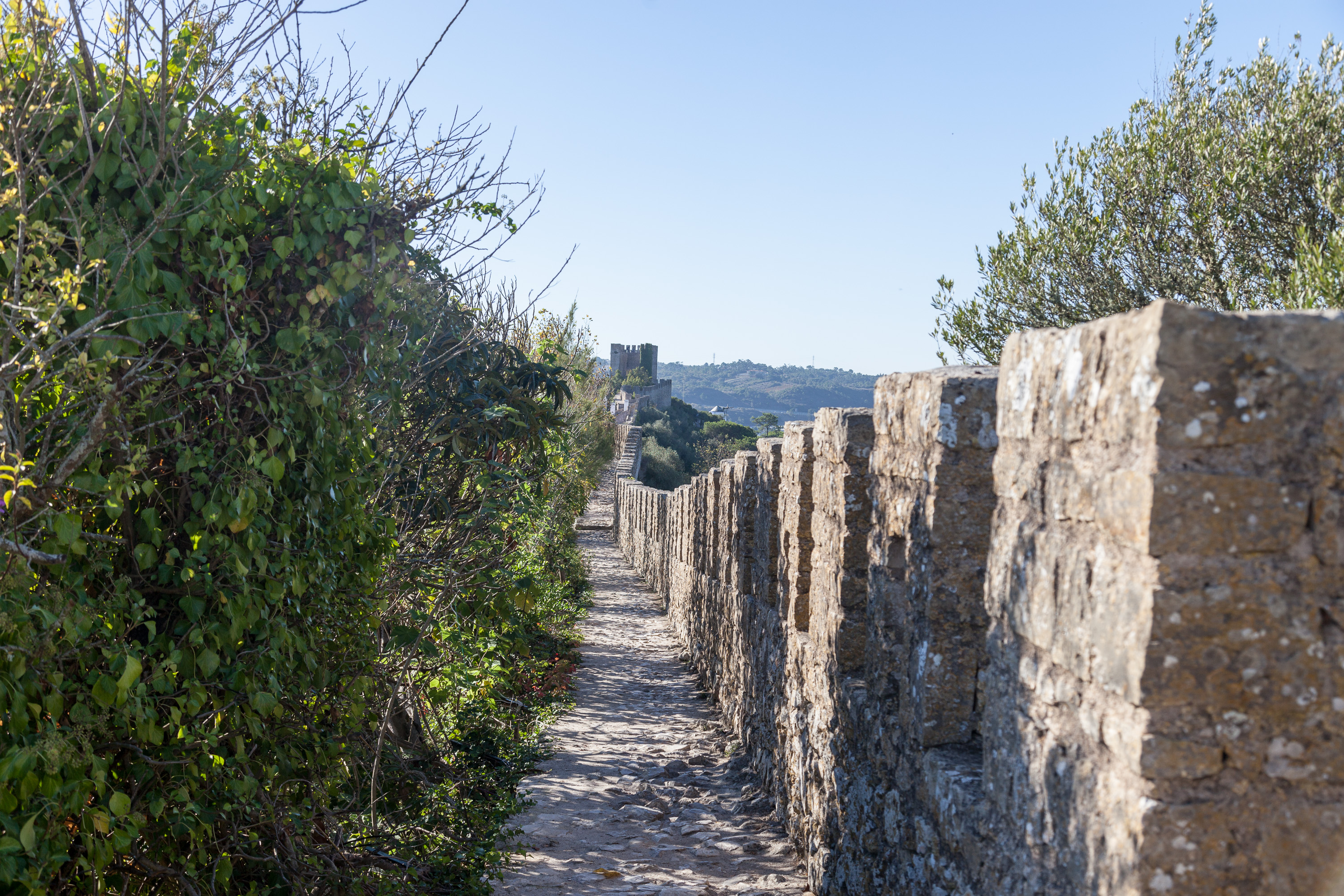 Стены О́бидуша