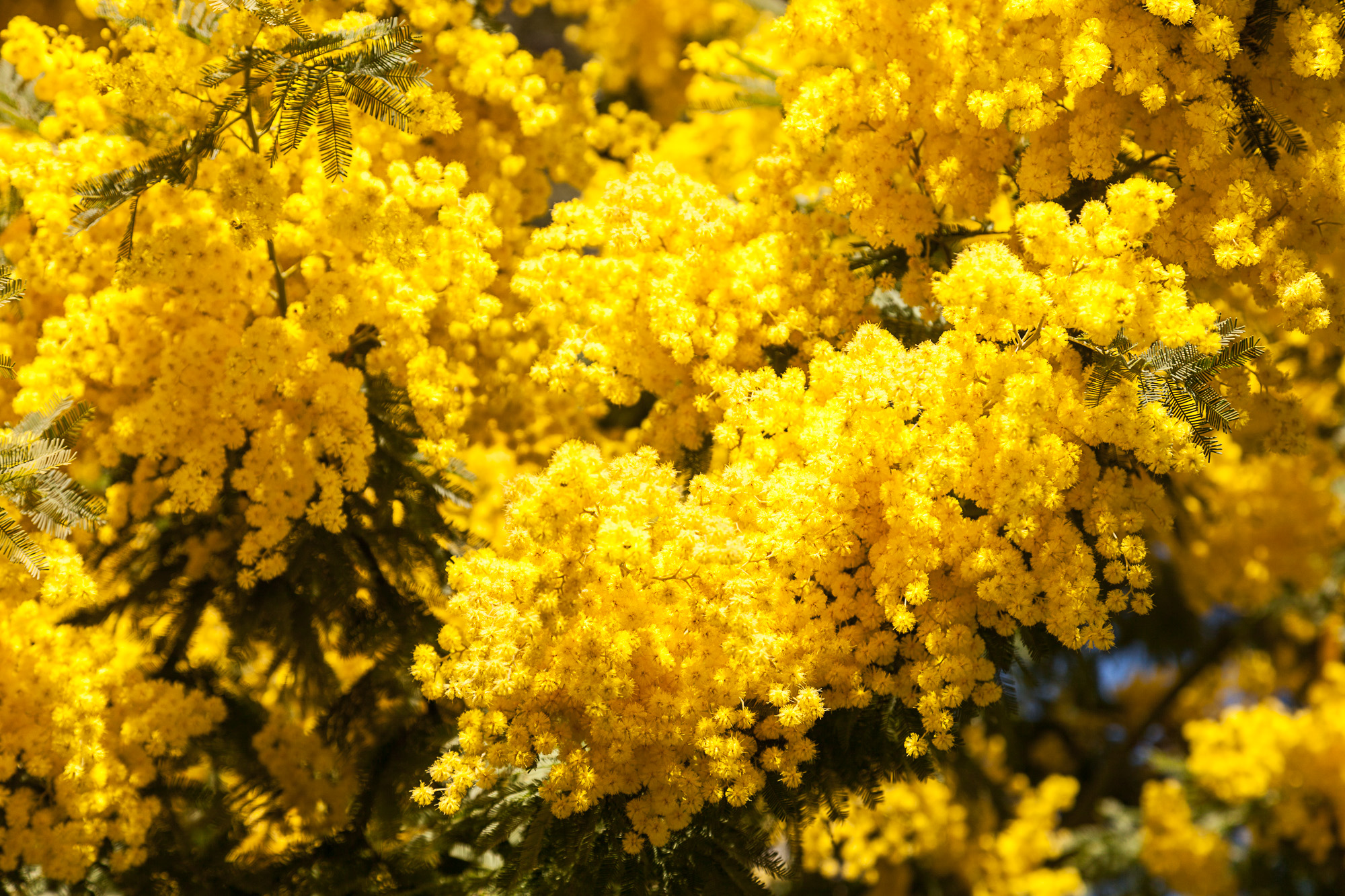 Февраль здорового человека