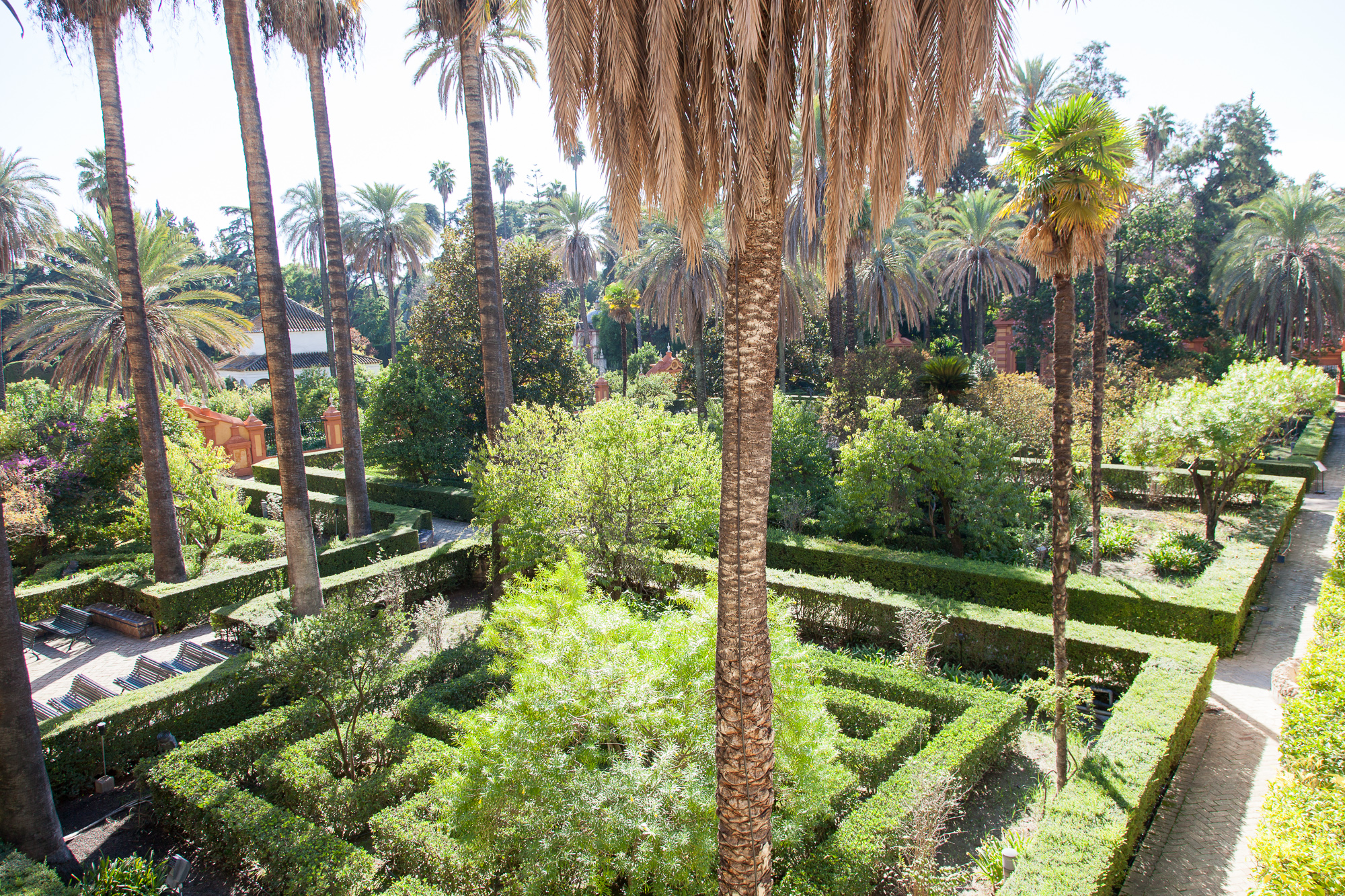 Сады Алькасара