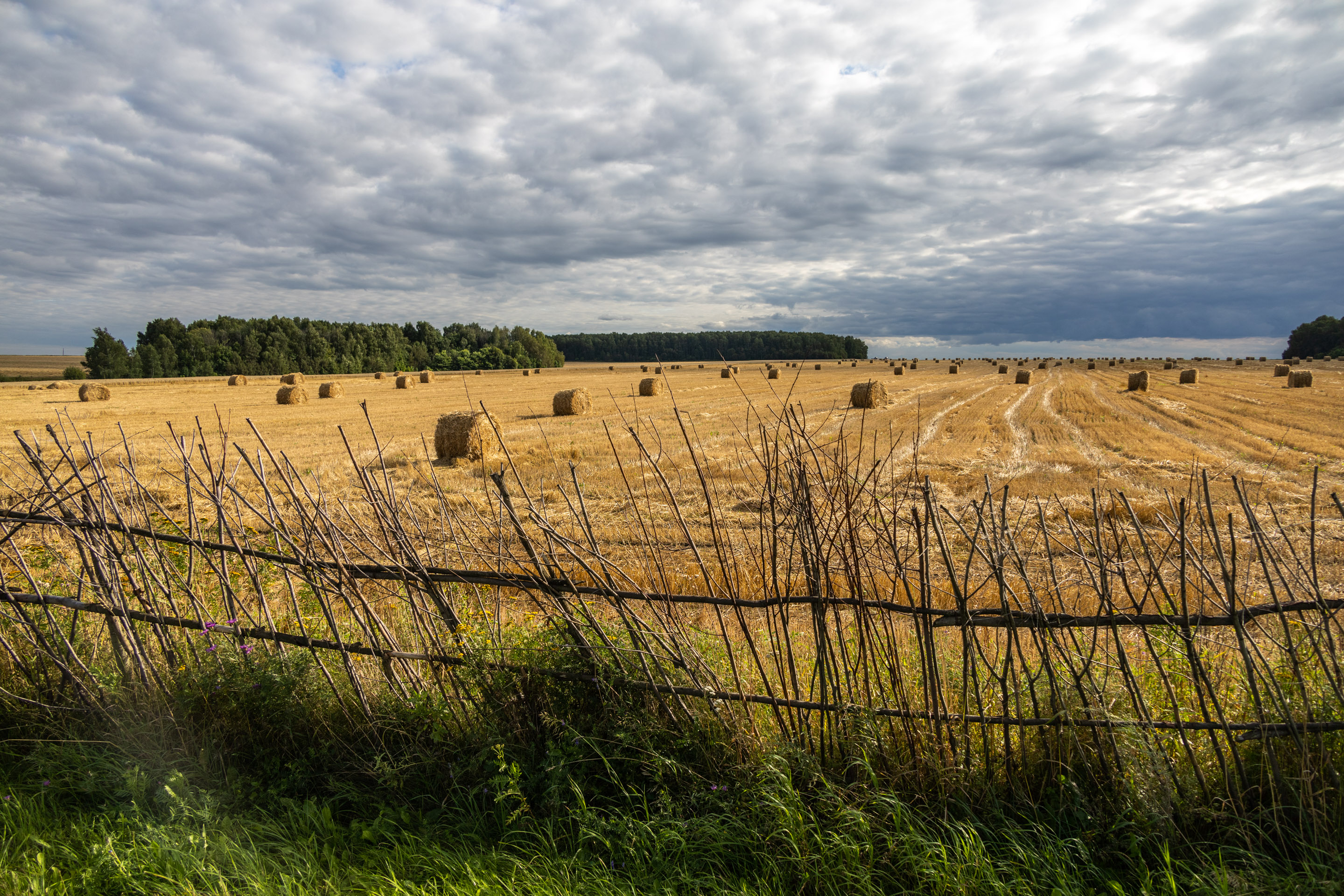 В полях Рязанской области