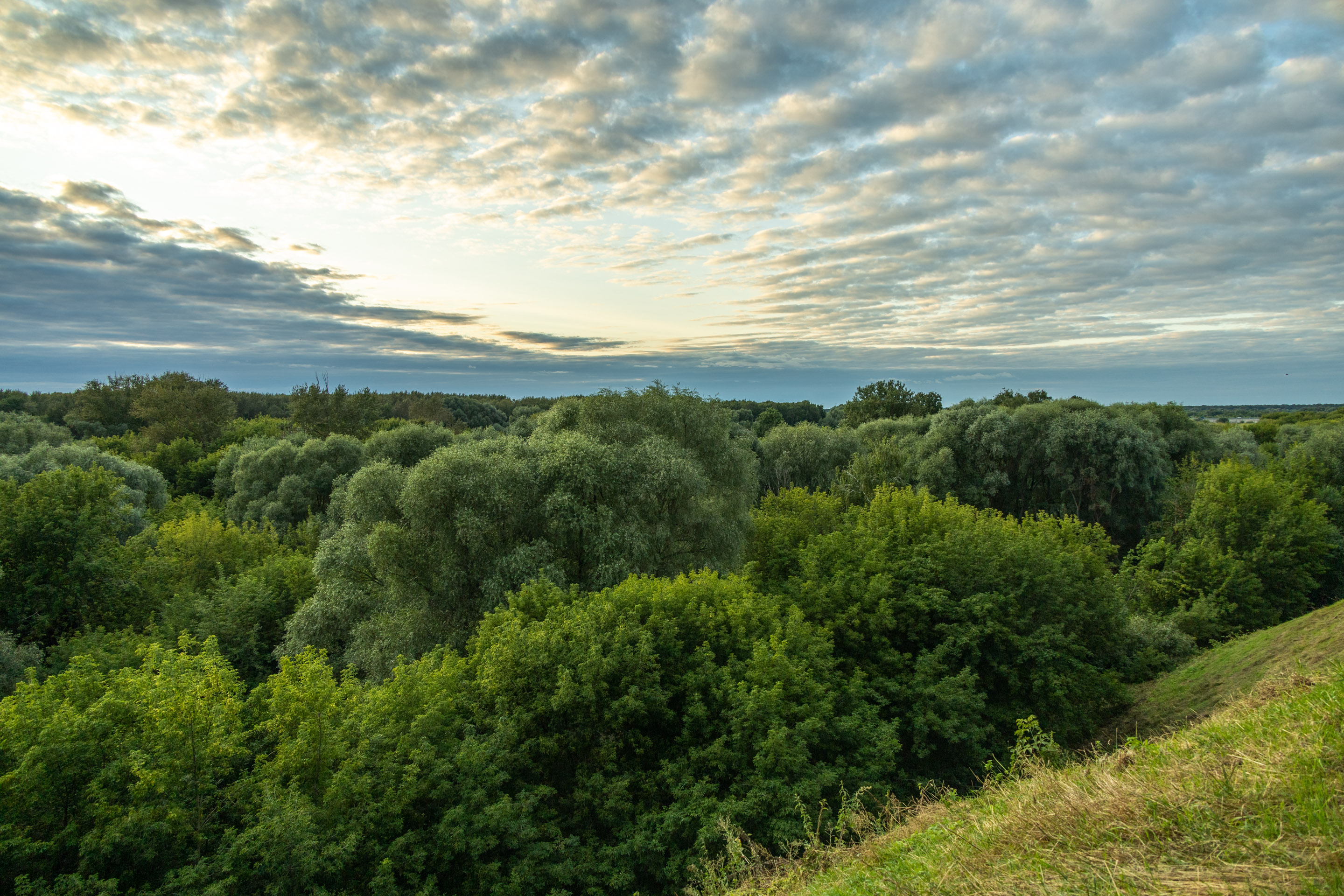 Зака над рекой Трубеж