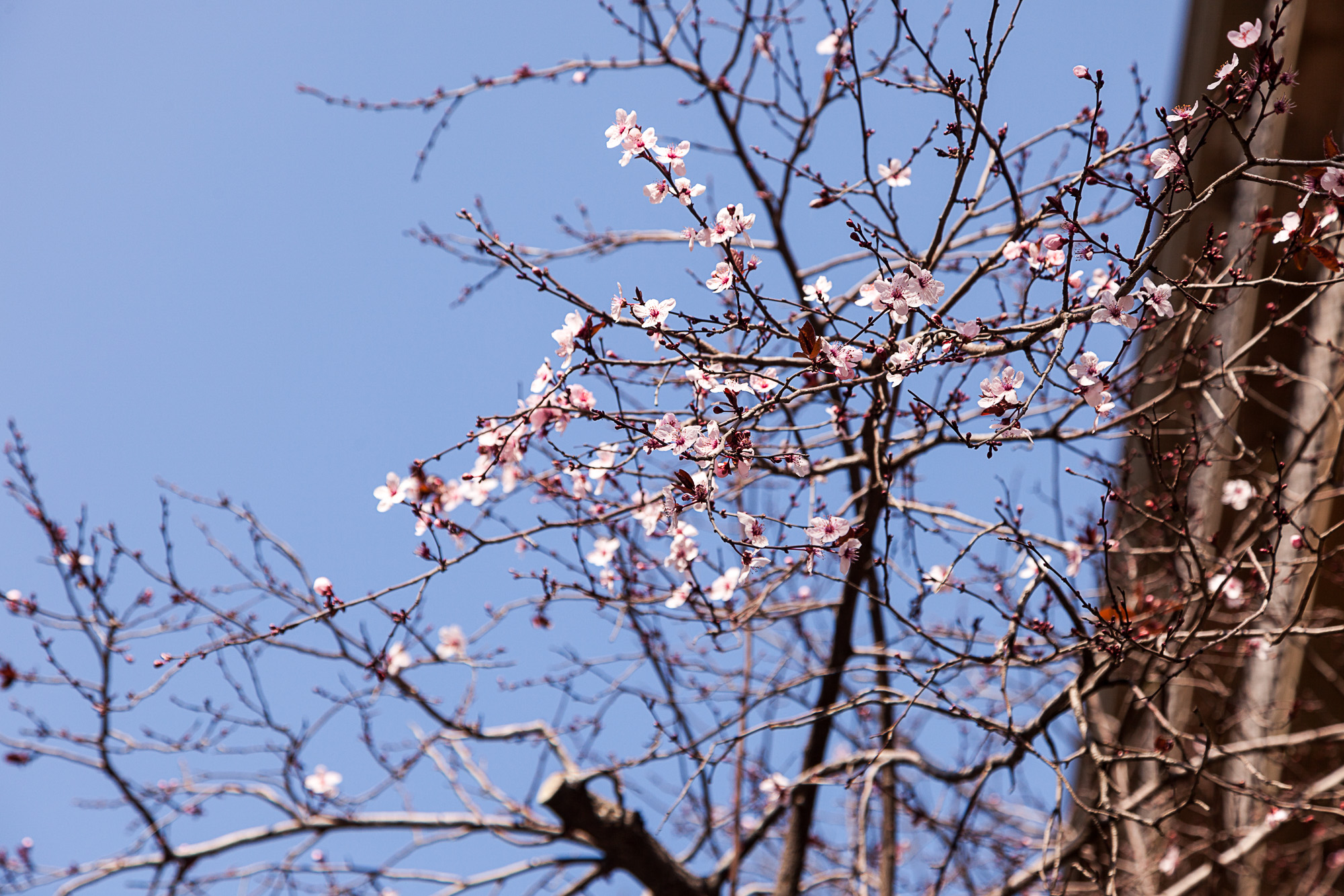 Февраль здорового человека
