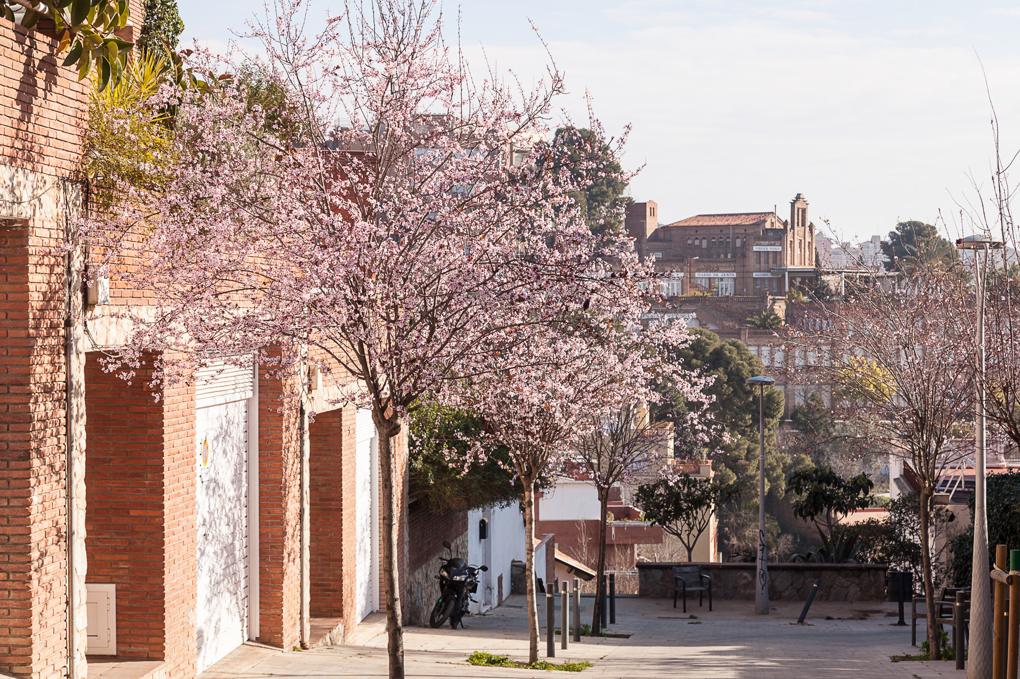 Февраль здорового человека