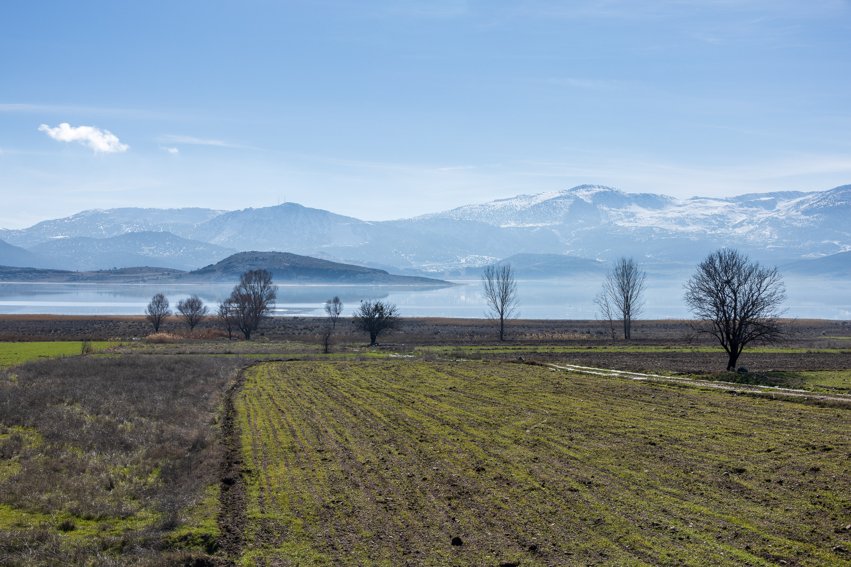 Озеро Ярышлы