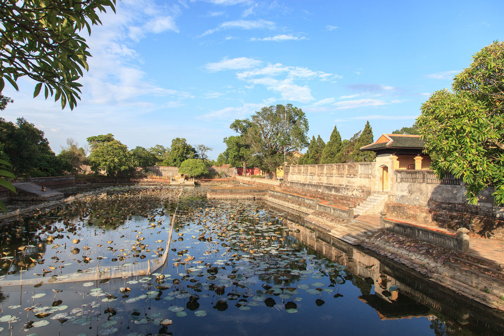 Очередной пруд с лотосами