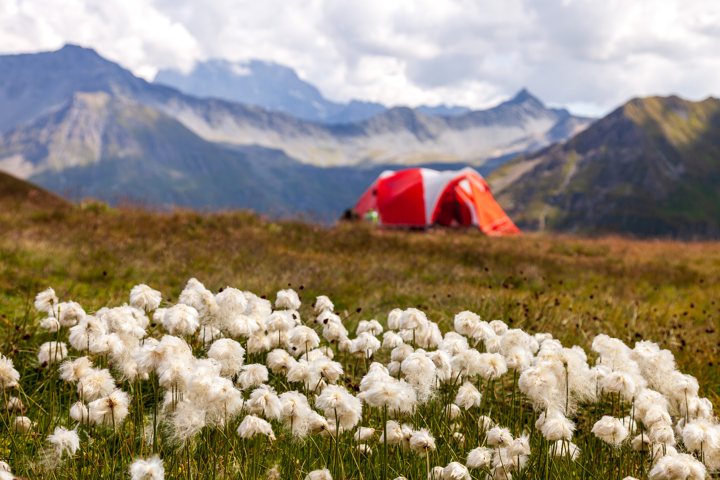 Август: поездки по России и походы по Альпам