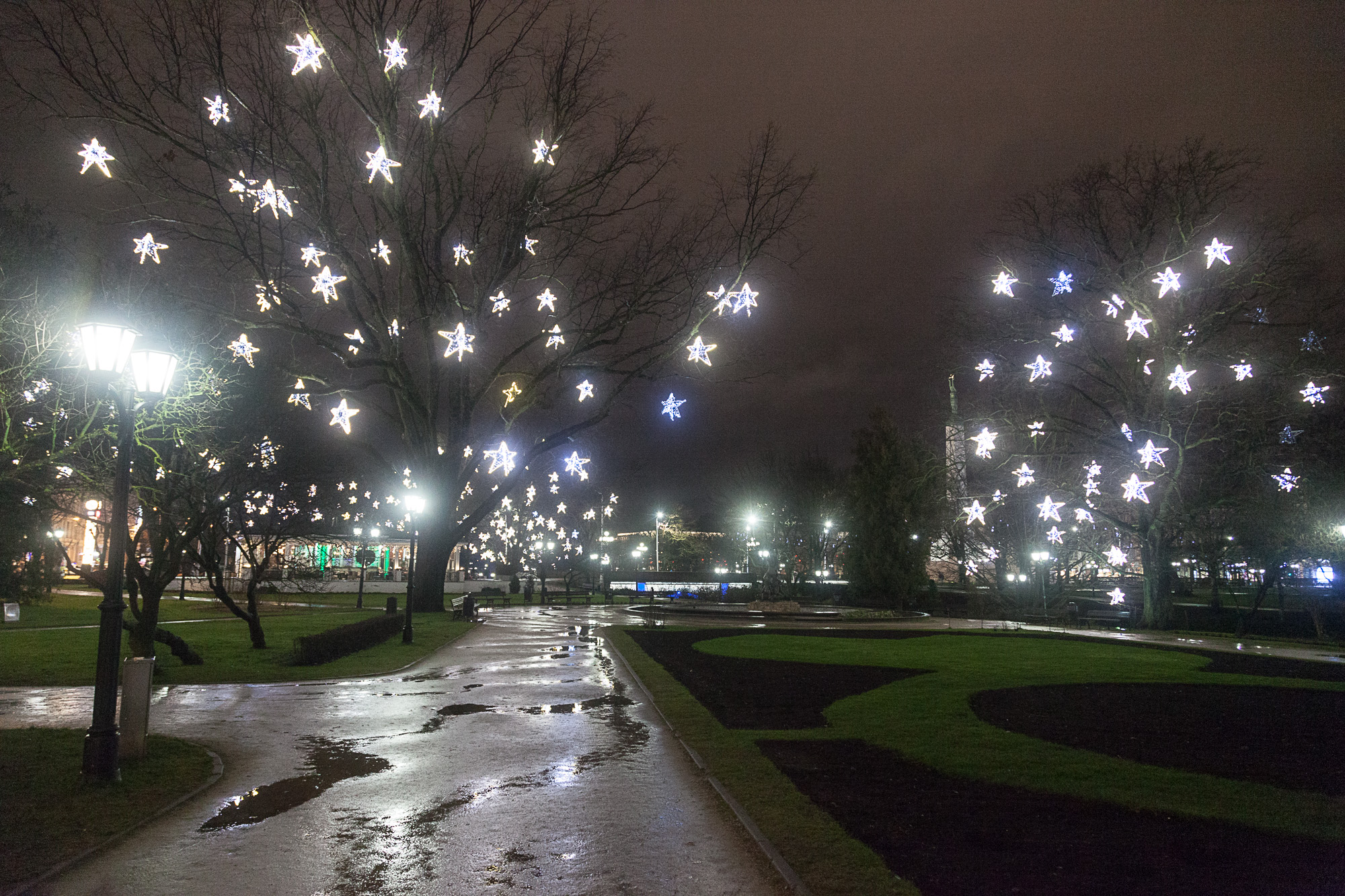 Такая вот не очень новогодняя погода была в этом году