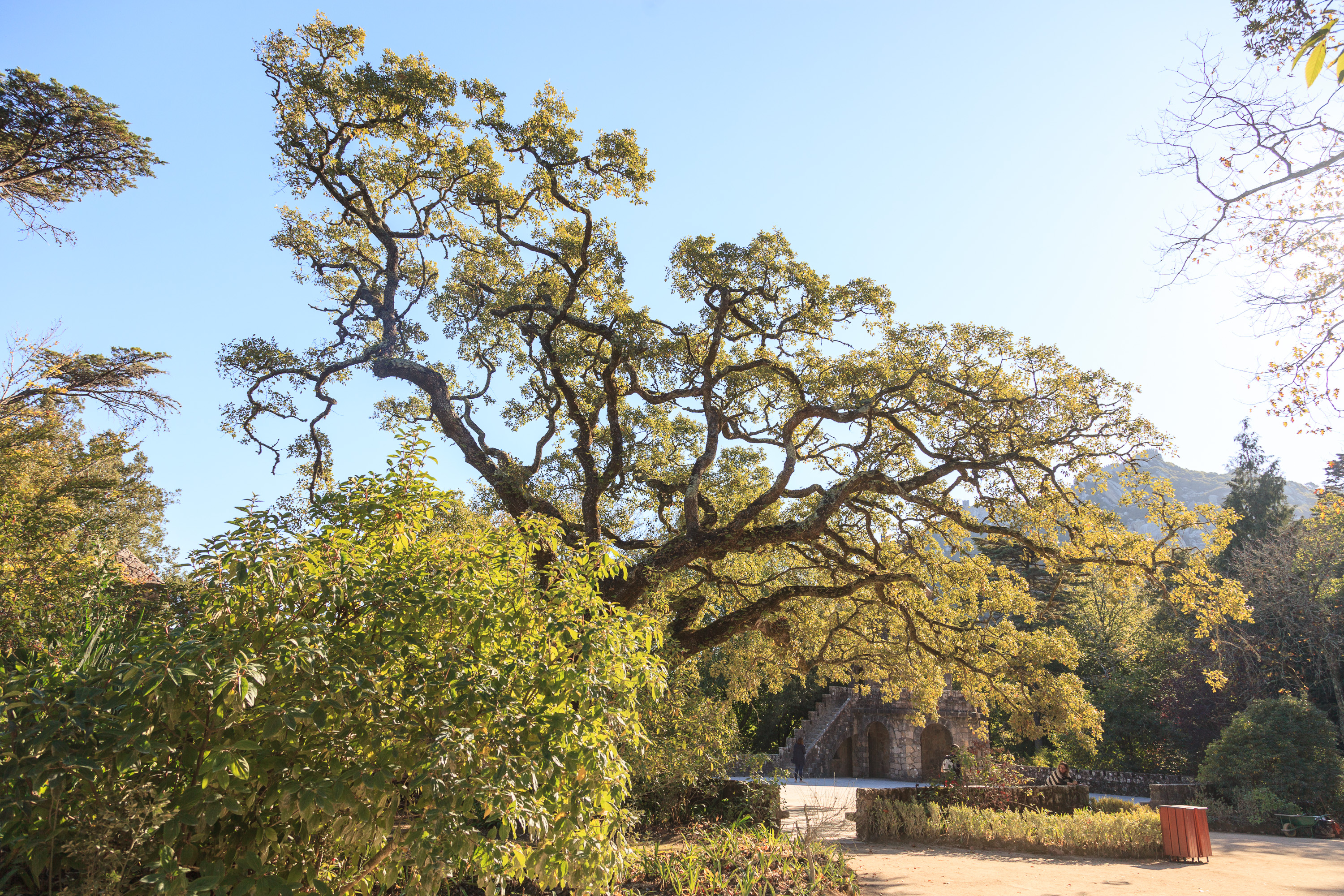 Парк в Кинта да Регалейра