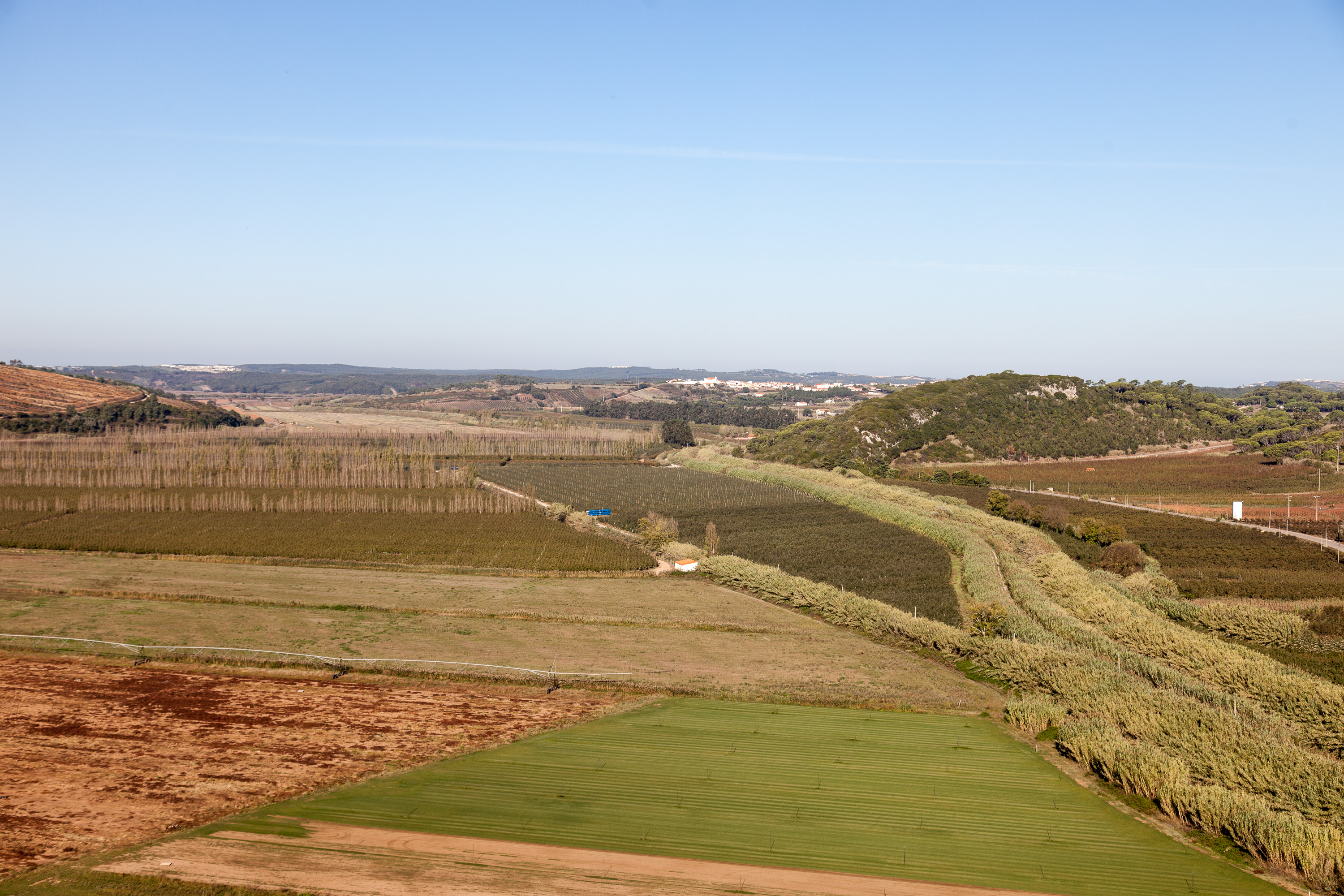 Поля вокруг О́бидуша