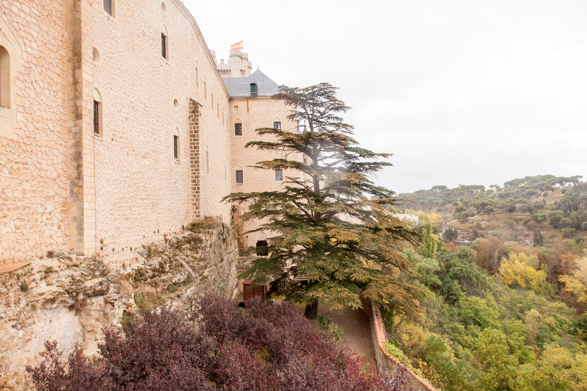 Вид с задней террасы