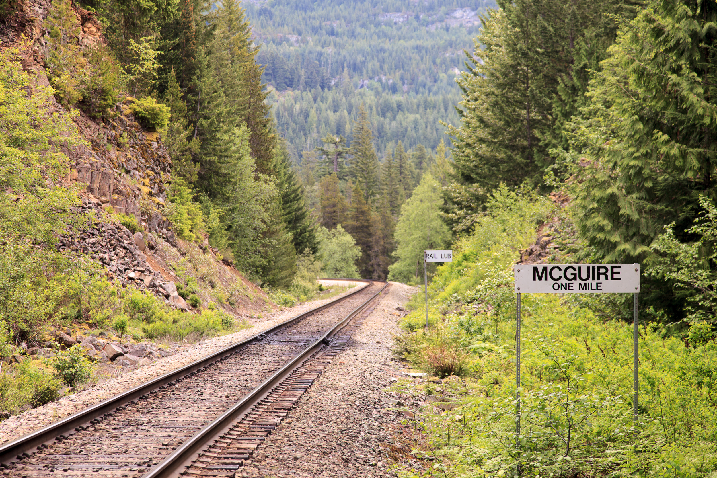 Узкоколейка