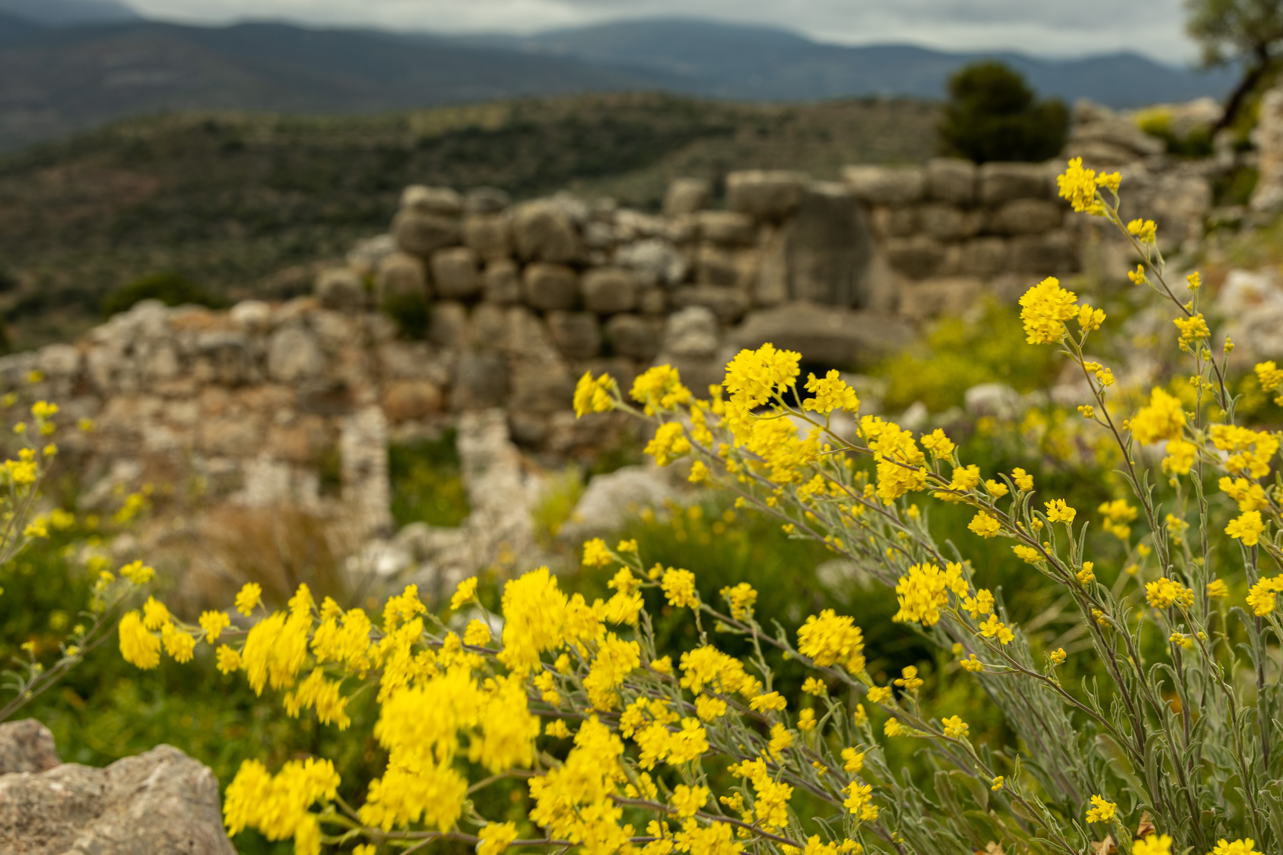 Акрополь Микен