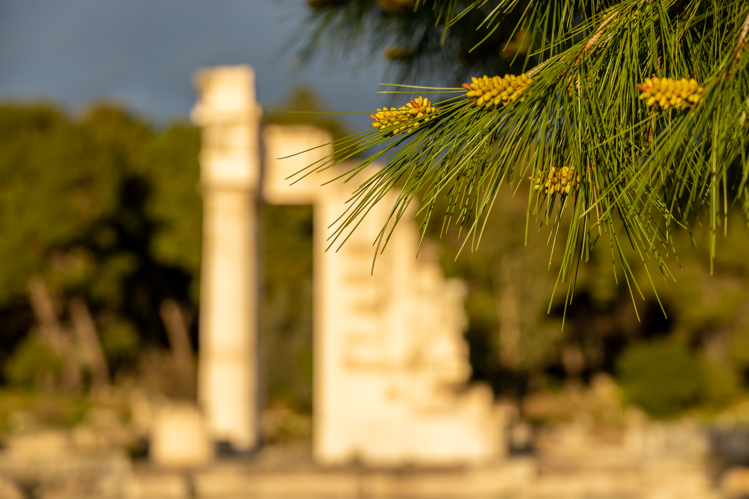 Асклепион — храм Асклепия-Эскулапа