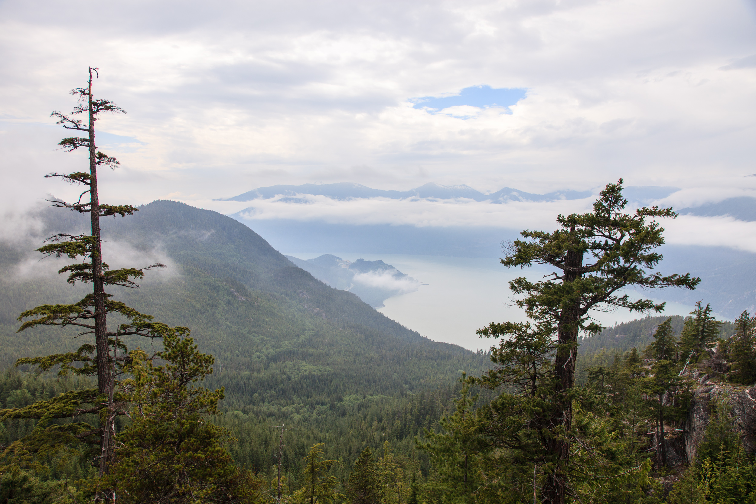 Вид на фиорд