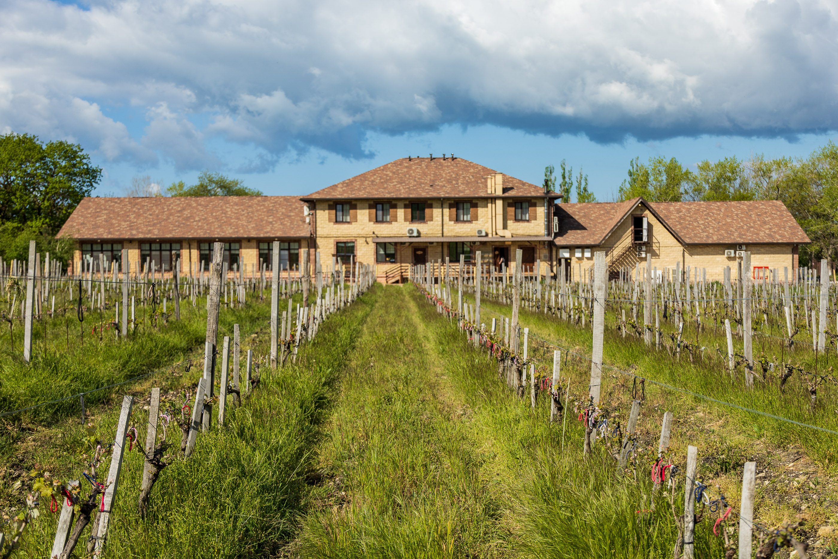 Винодельня Нестерова и ресторан "Винотеррия"