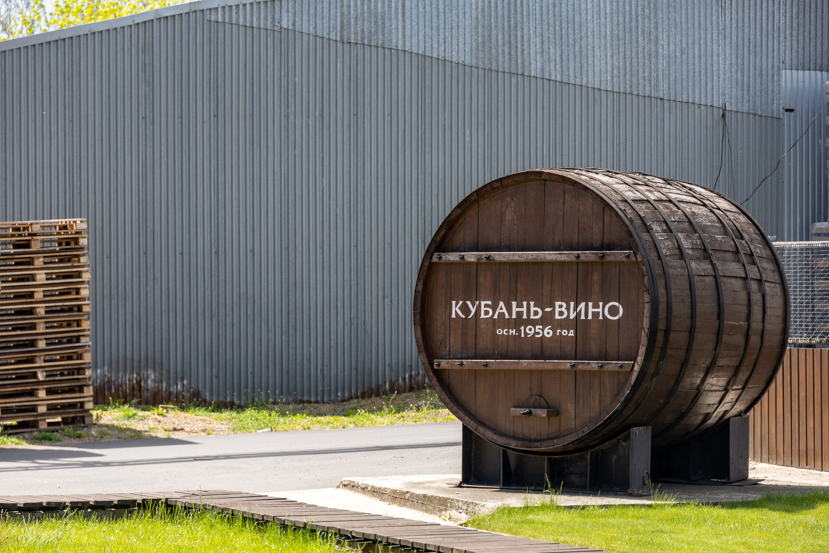 В "Шато-Тамань"