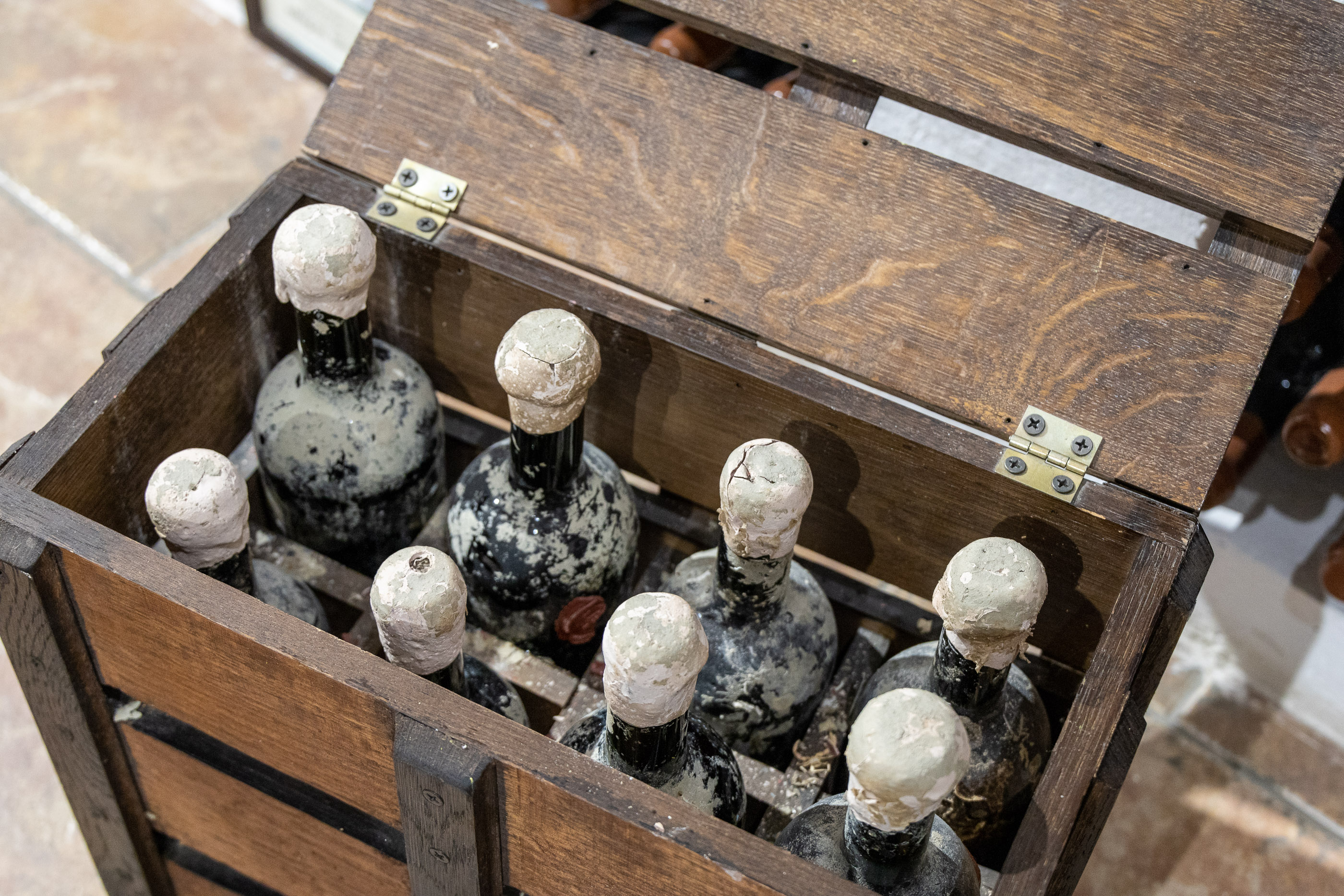 Винотека в Шато-Тамань