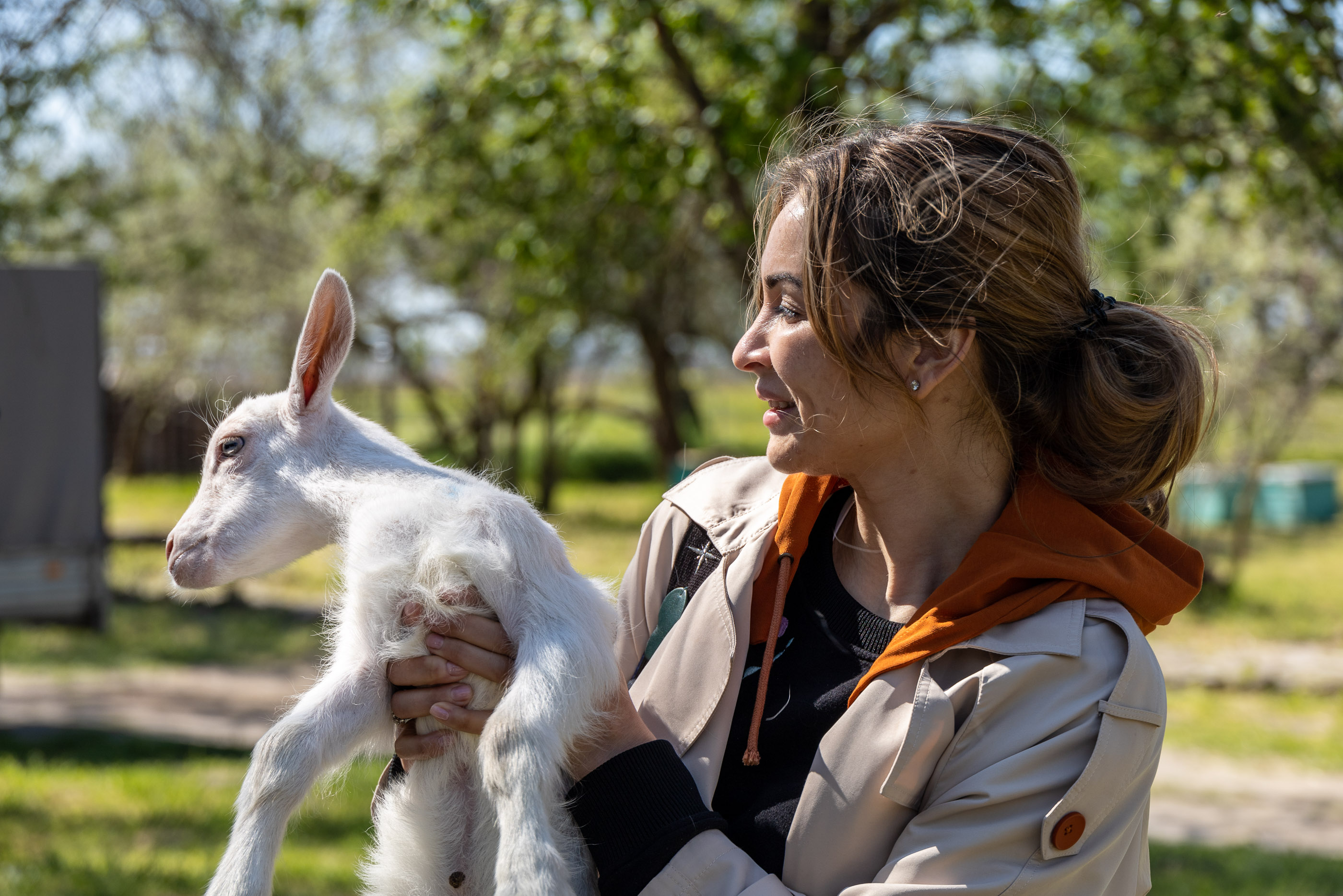 Кормление козлят