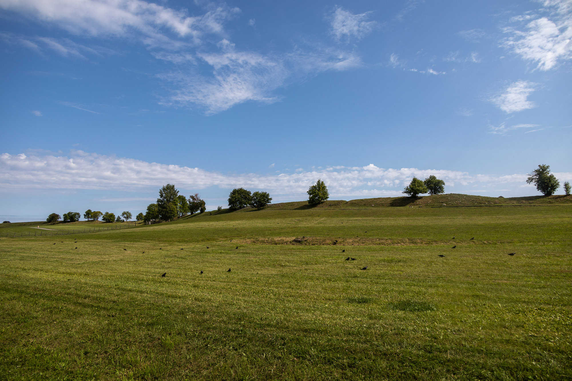Просторы острова Кижи