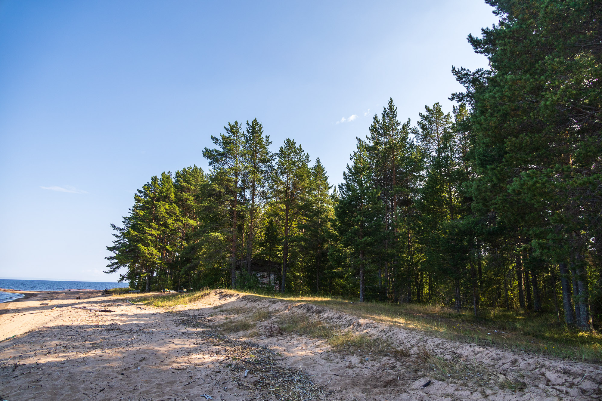 Онежский берег