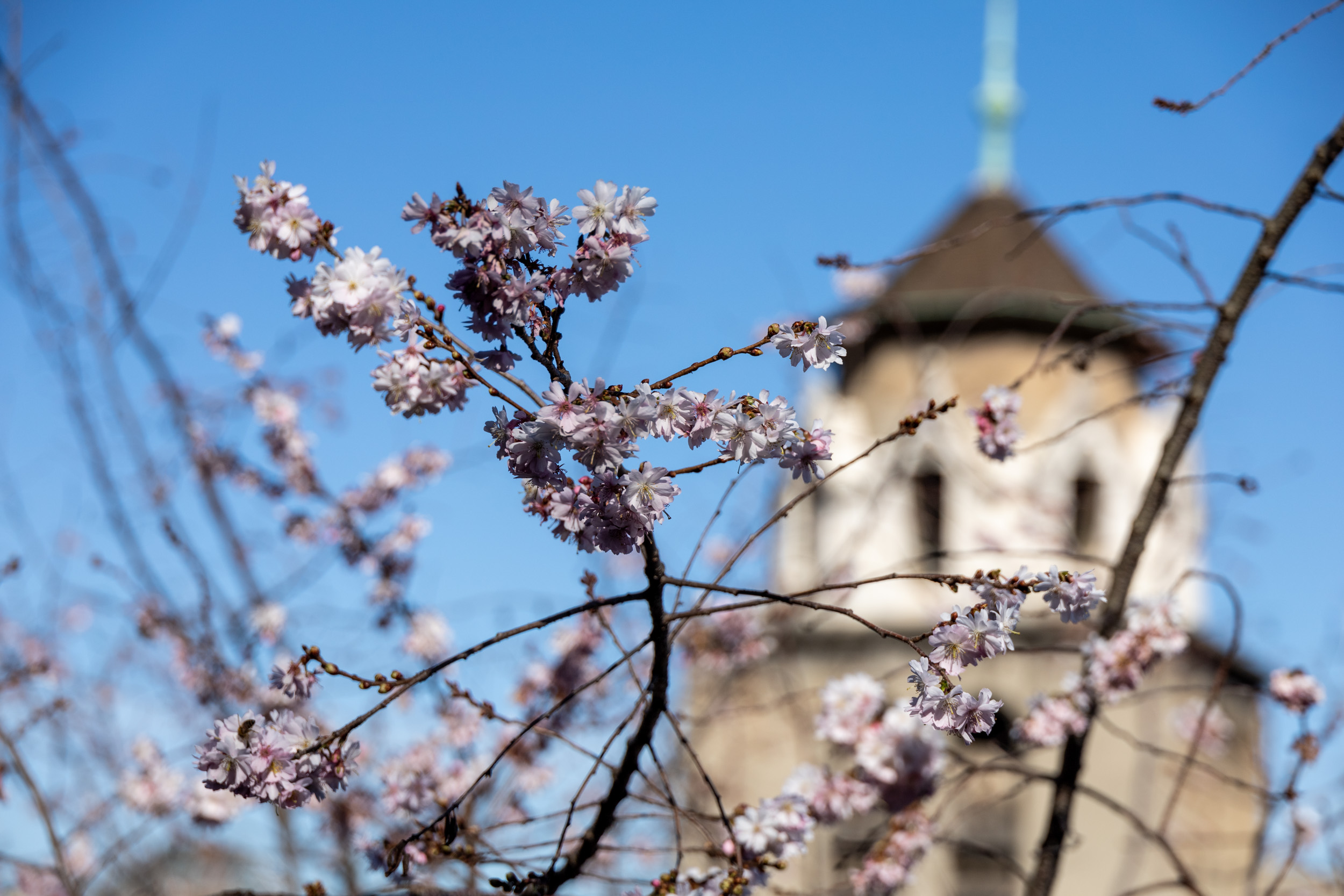 Февраль: Барселона, Женева и Альпы